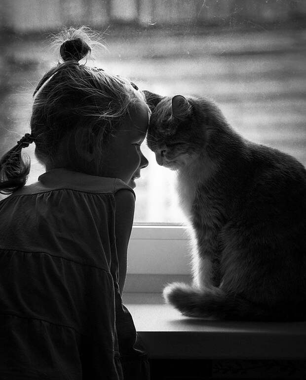 children-cat-playing-photography-20_result