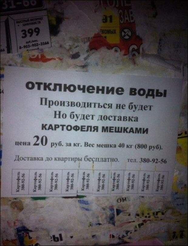 Прикольные надписи и объявления