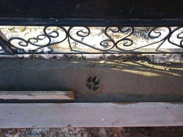 Пятничные фотоприколы