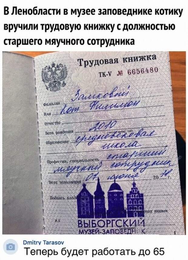 Прикольные комментарии из соцсетей (15 шт)