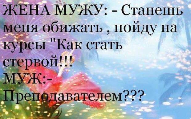 15 15 картинки, мужчины и женщины, прикол
