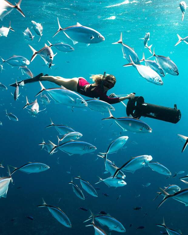 Андре Масгроув (André Musgrove) и его невероятные подводные снимки
