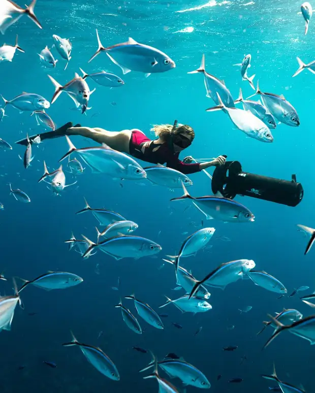 Андре Масгроув (André Musgrove) и его невероятные подводные снимки