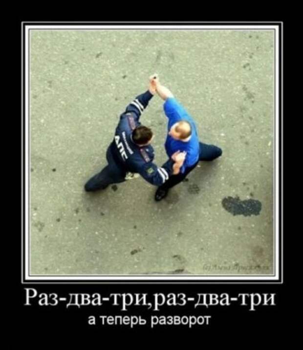 Много разных приколов в демотиваторах.