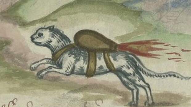 Коты-ракеты Коты-ракеты