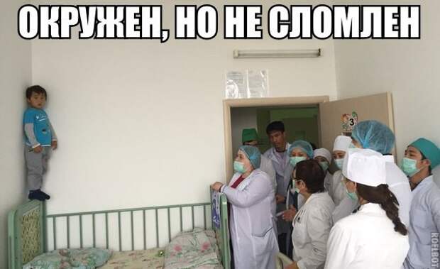 Смешные картинки с надписями прикол, юмор
