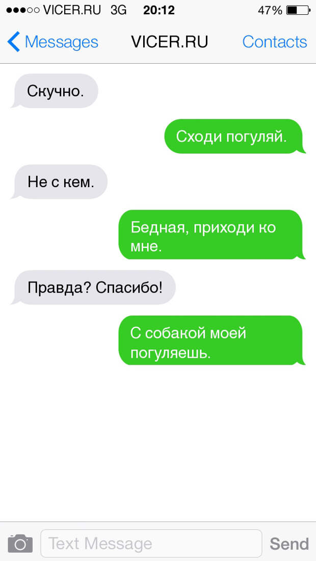 смс о домашних животных 