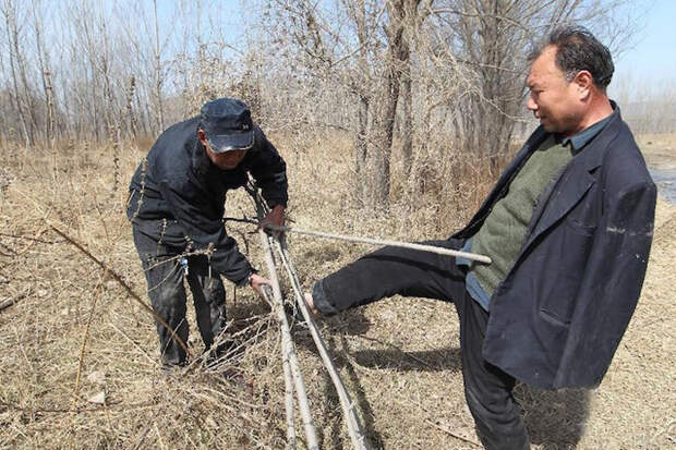 Работа не из простых, но друзья не сдаются.