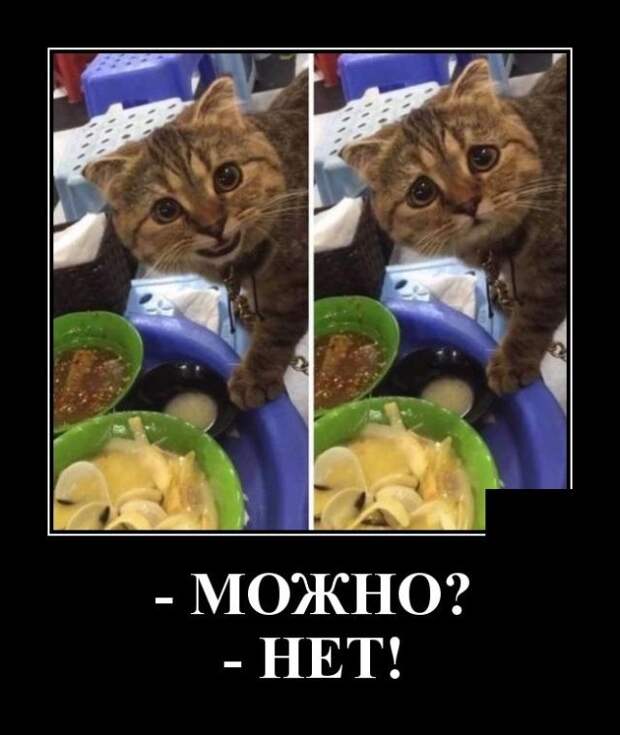 demotivatory-kartinki-smeshnye-kartinki-fotoprikoly