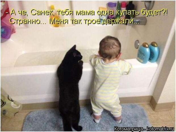 Весёлые котоматрицы - смешные кошки Весёлые котоматрицы - смешные кошки