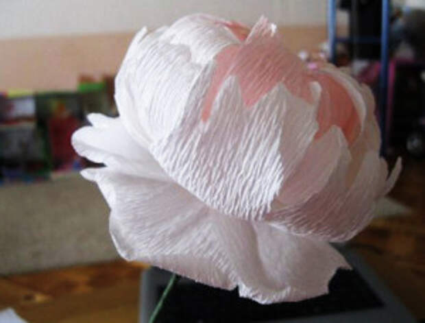 Пионы из гофрированной бумаги (26)