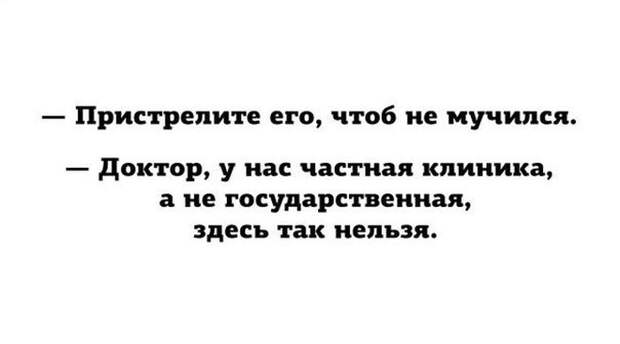 Прикольные картинки (87 фото)