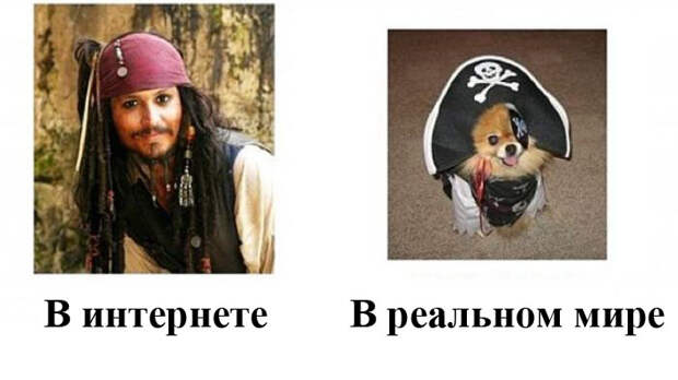 Различия людей в интернете и в реальной жизни (19 фото)