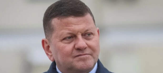 Залужный на чемоданах: слухи о возвращении экс-главкома усиливают политическую турбулентность в Киеве