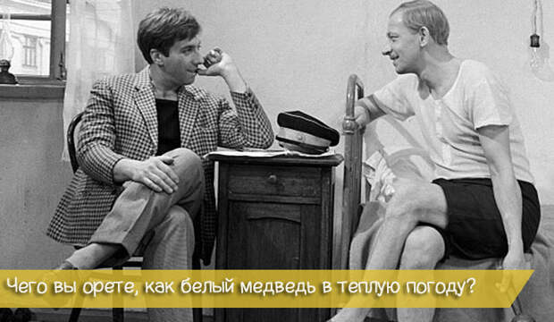 30 гениальных фраз из Золотого теленка 30 гениальных фраз из Золотого теленка золотой теленок, кино, фильм, фраза, цитата