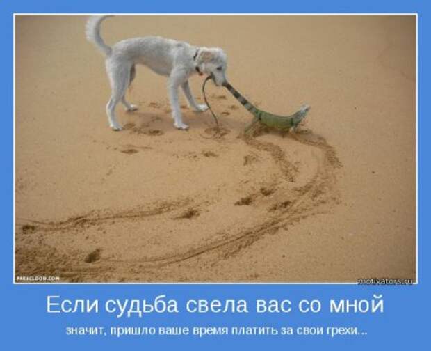 Мотиваторы. Учим судьбу хорошему.