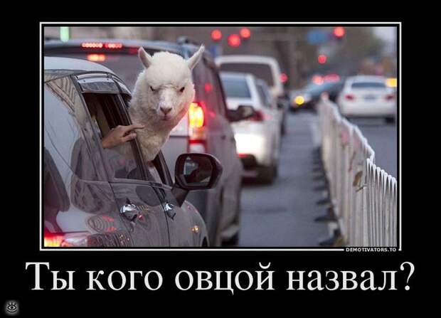 В поисках смысла 13
