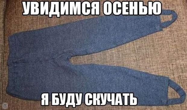 Повседневность в курьёзах 41