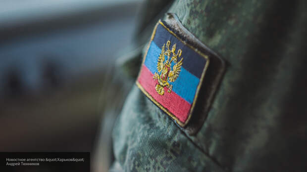 Стриженова поставила на место приравнявшего ДНР к ИГИЛ эксперта Амнуэля