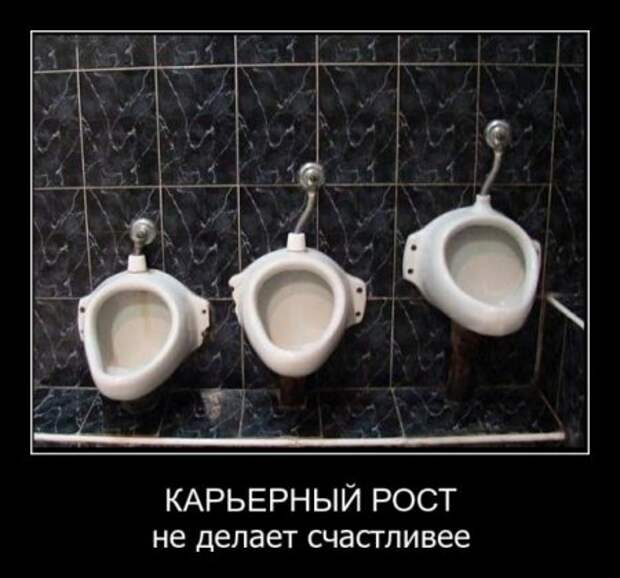 Смешные демотиваторы у нас каждый день!