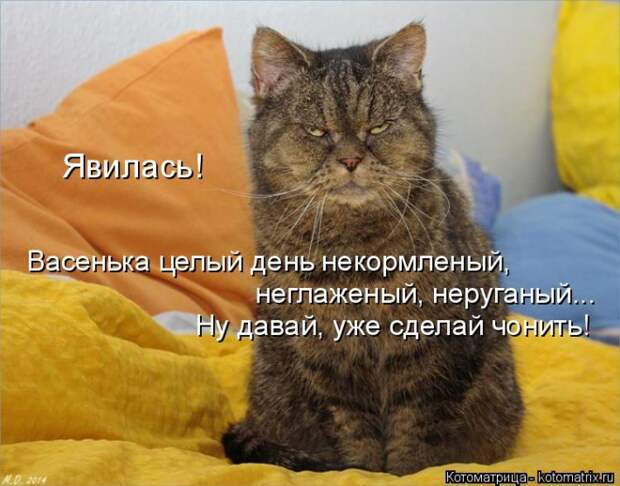 Мысли вслух :) №150118