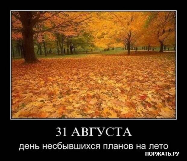 Демы как они есть
