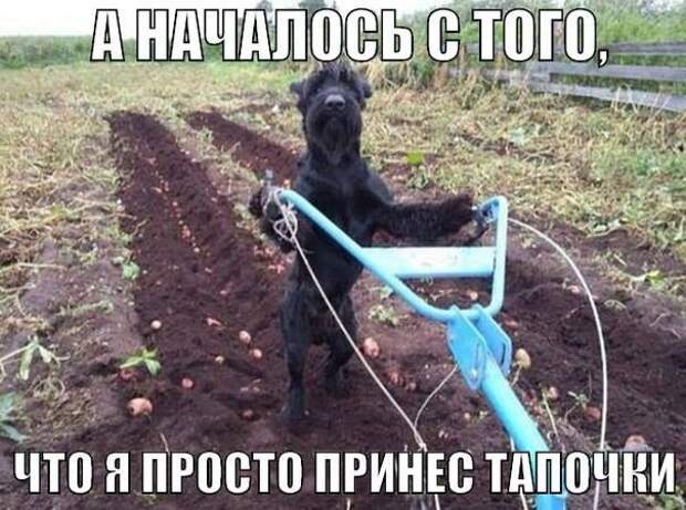 Подборка юмора в картинках прикол, юмор