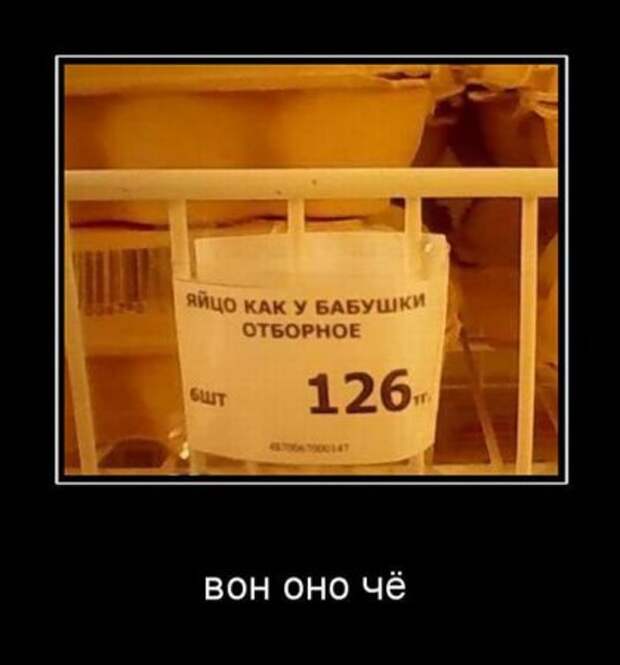 Фото демотиваторы с юмором.