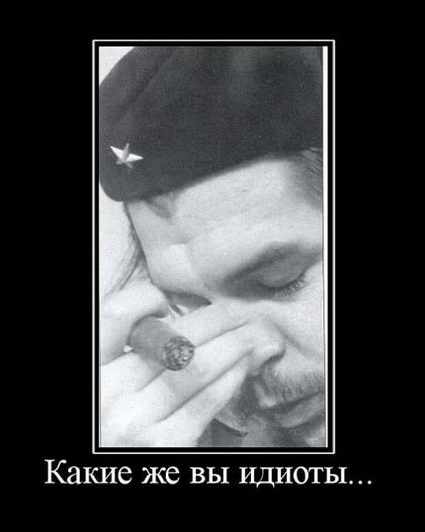 Какие же вы идиоты...