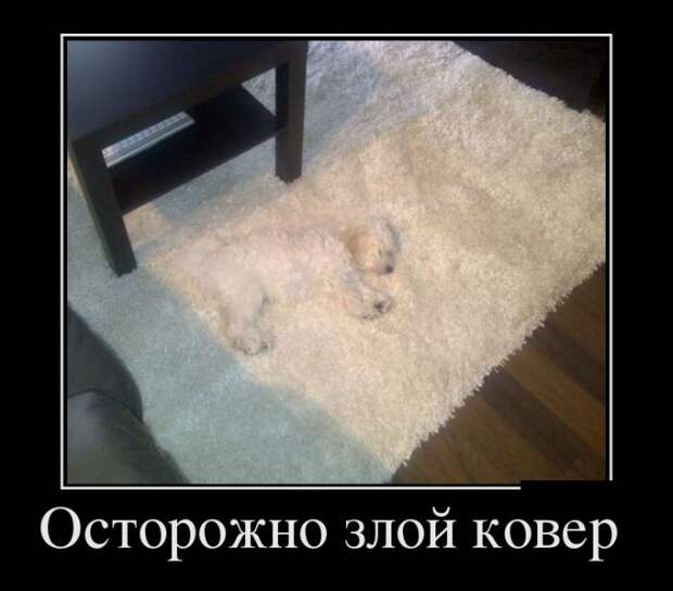 Демотиваторы №1069 (30 фото)