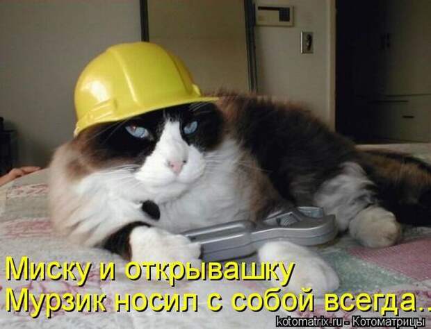 Мысли вслух :)