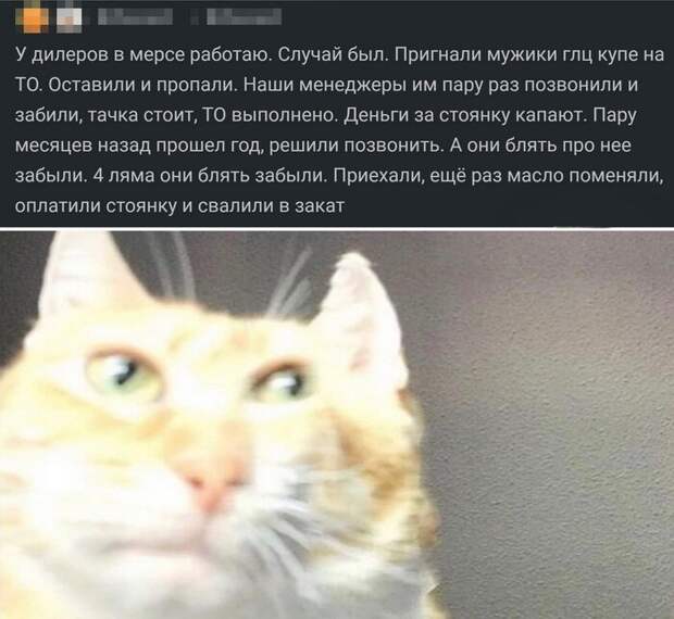 Чтоб я так жил) Чтоб я так жил)