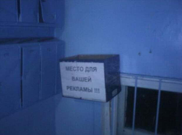 Прикольные фото и жить как то веселей.