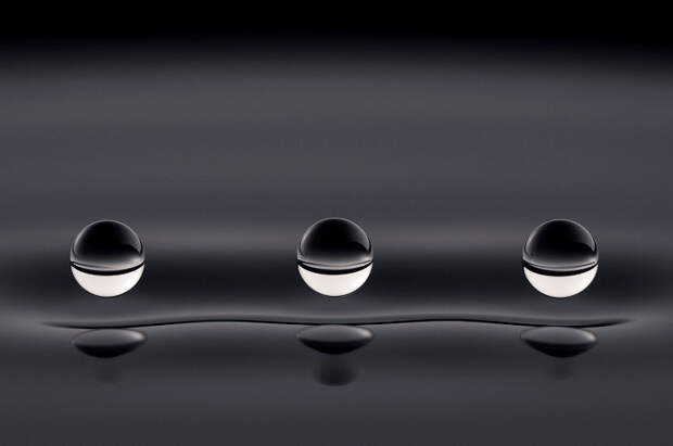 Победители научного конкурса Royal Society Publishing Photography Competition