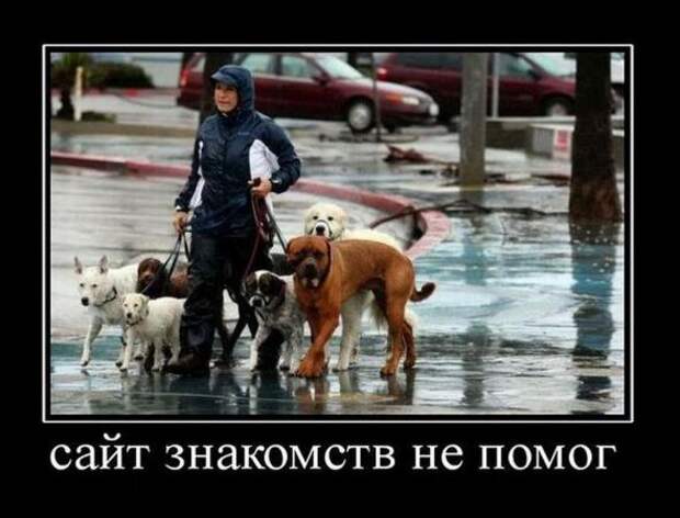 Демотиваторы 20.02.11