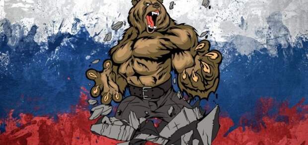 медвед