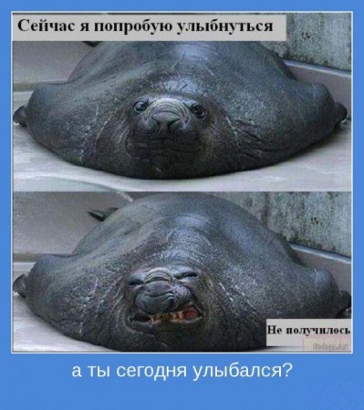 мотиваторы