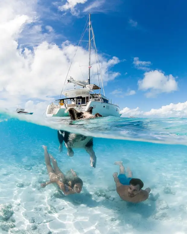 Андре Масгроув (André Musgrove) и его невероятные подводные снимки