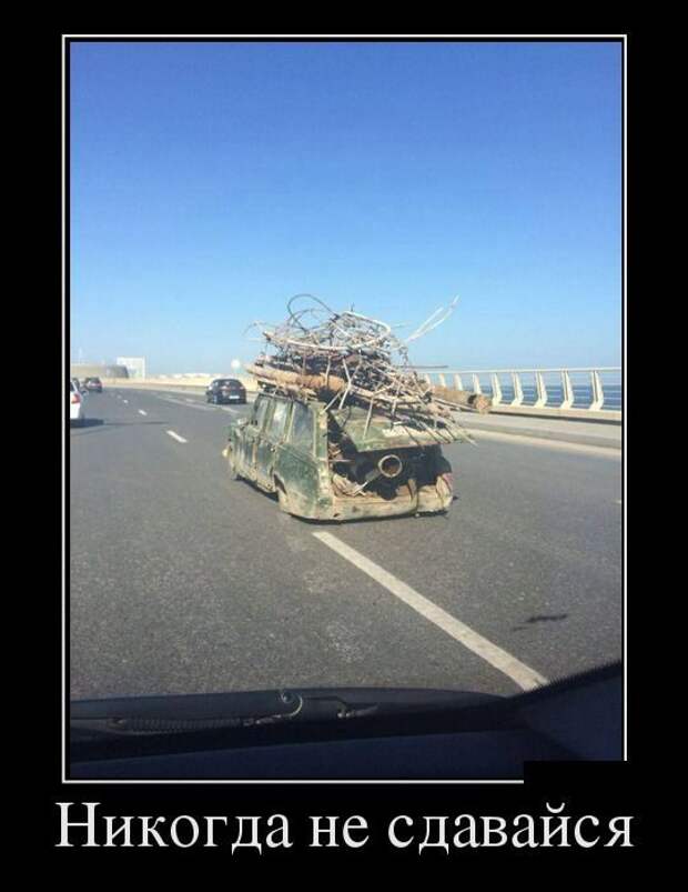 Демотиваторы