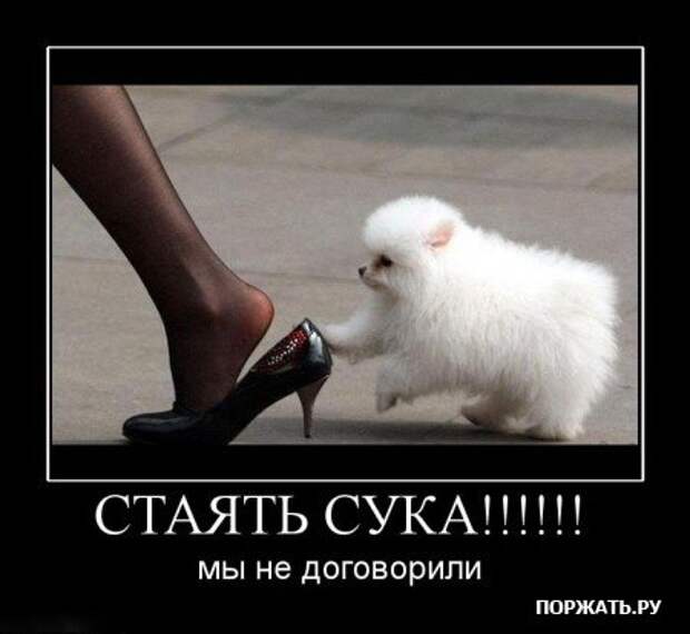 Прикольные демотиваторы (часть 1)