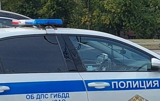 Фото: Елена Боровкова