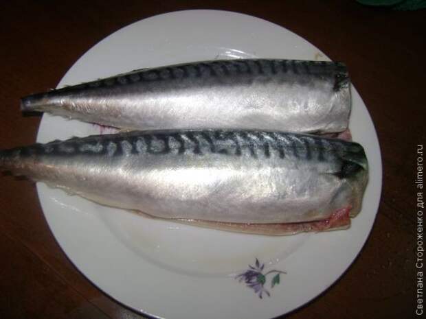 соленая скумбрия рецепт соленая скумбрия рецепт