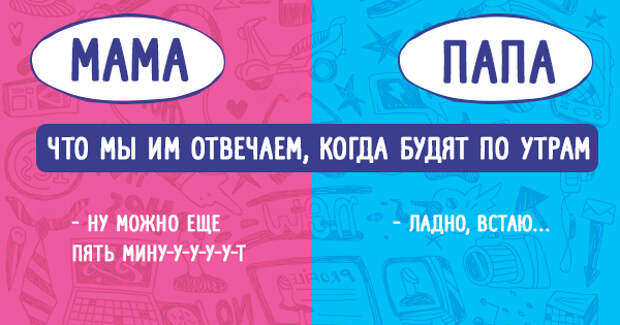 отличия папы от мамы 