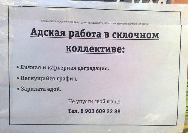 нестандартные объявления о работе
