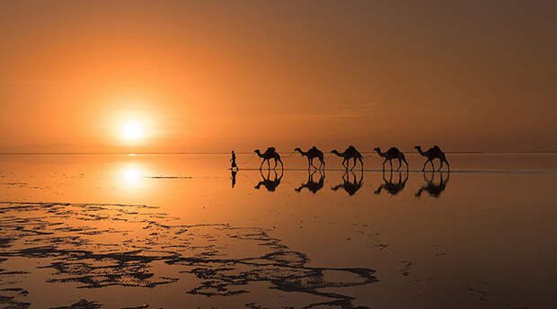 Лучшие фотографии апреля 2015 от National Geographic
