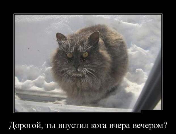 Демотиваторы (30 фото)