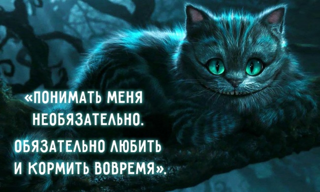 30 мудростей Чеширского Кота
