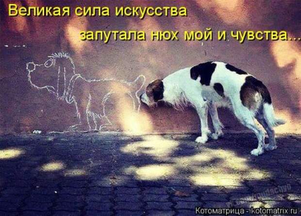Прикольные коты в котоматрицах.