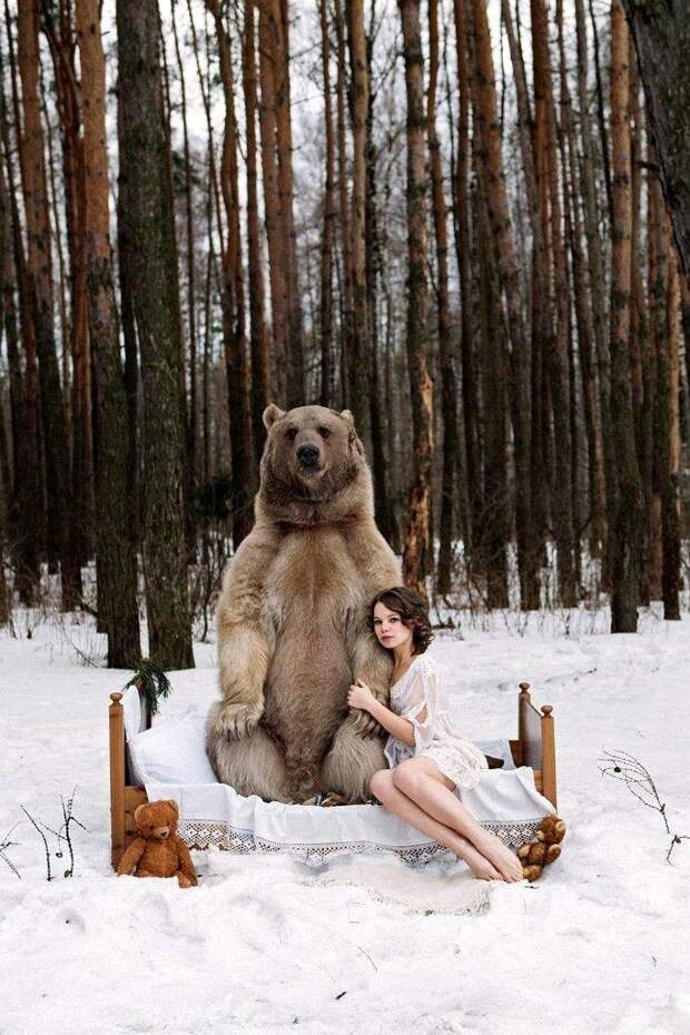 Фотографии моделей с 650-килограммовым медведем в заснеженном лесу Фотографии моделей с 650-килограммовым медведем в заснеженном лесу медведь, фото