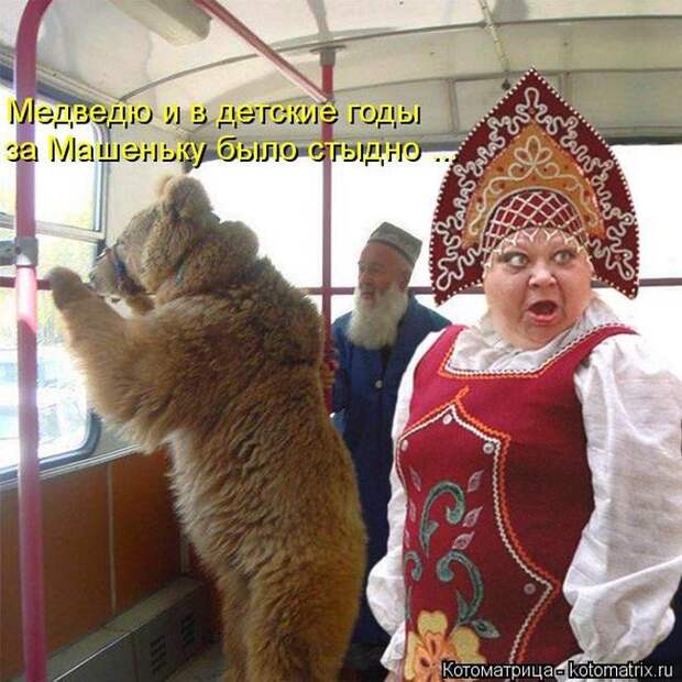 Лучшие котоматрицы недели